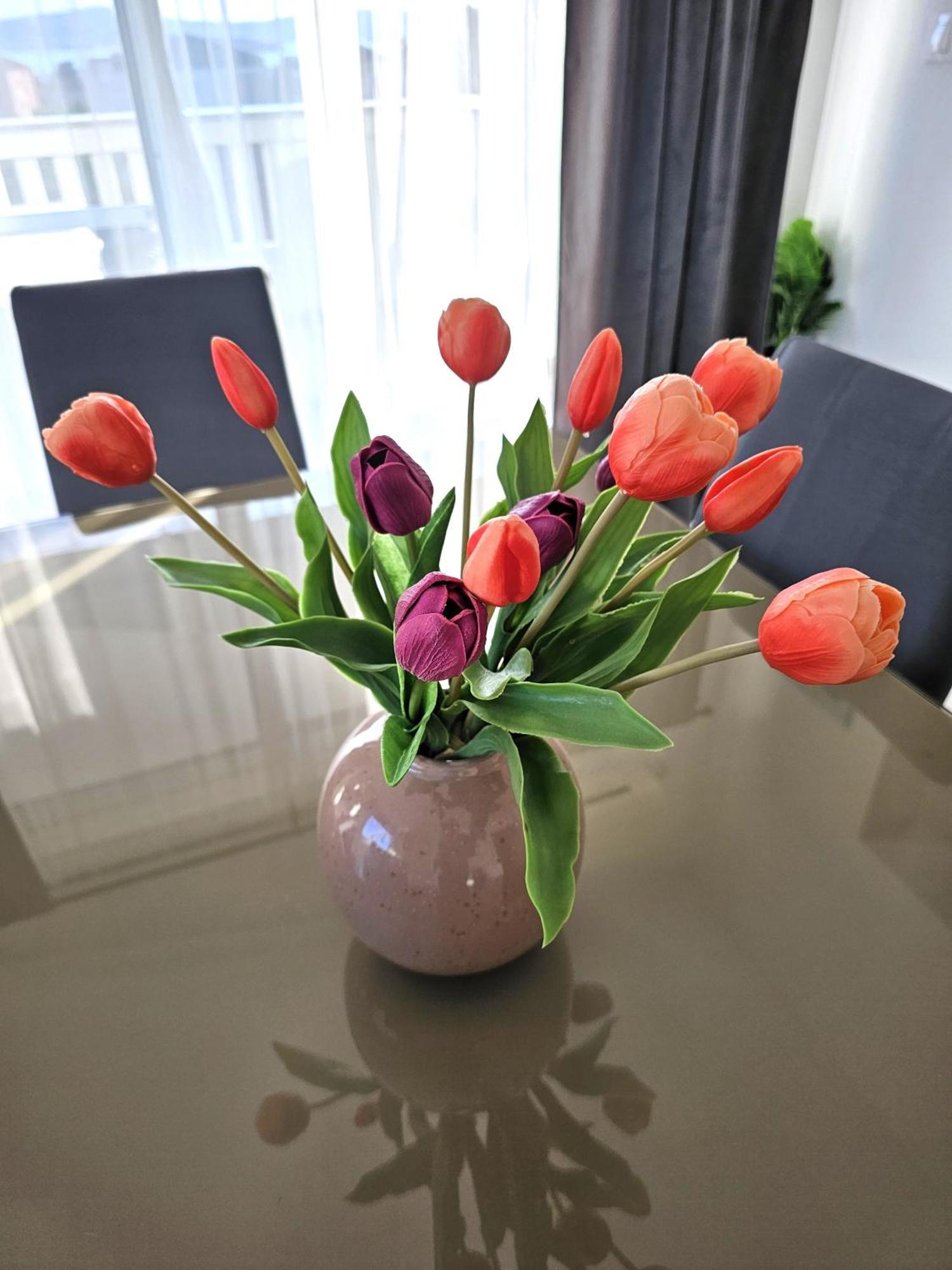 Apartment Zara Biograd Na Moru Esterno foto